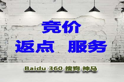 案例解读：SEM代理助力电商销量翻倍