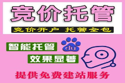 SEM专员如何通过数据分析优化广告投放